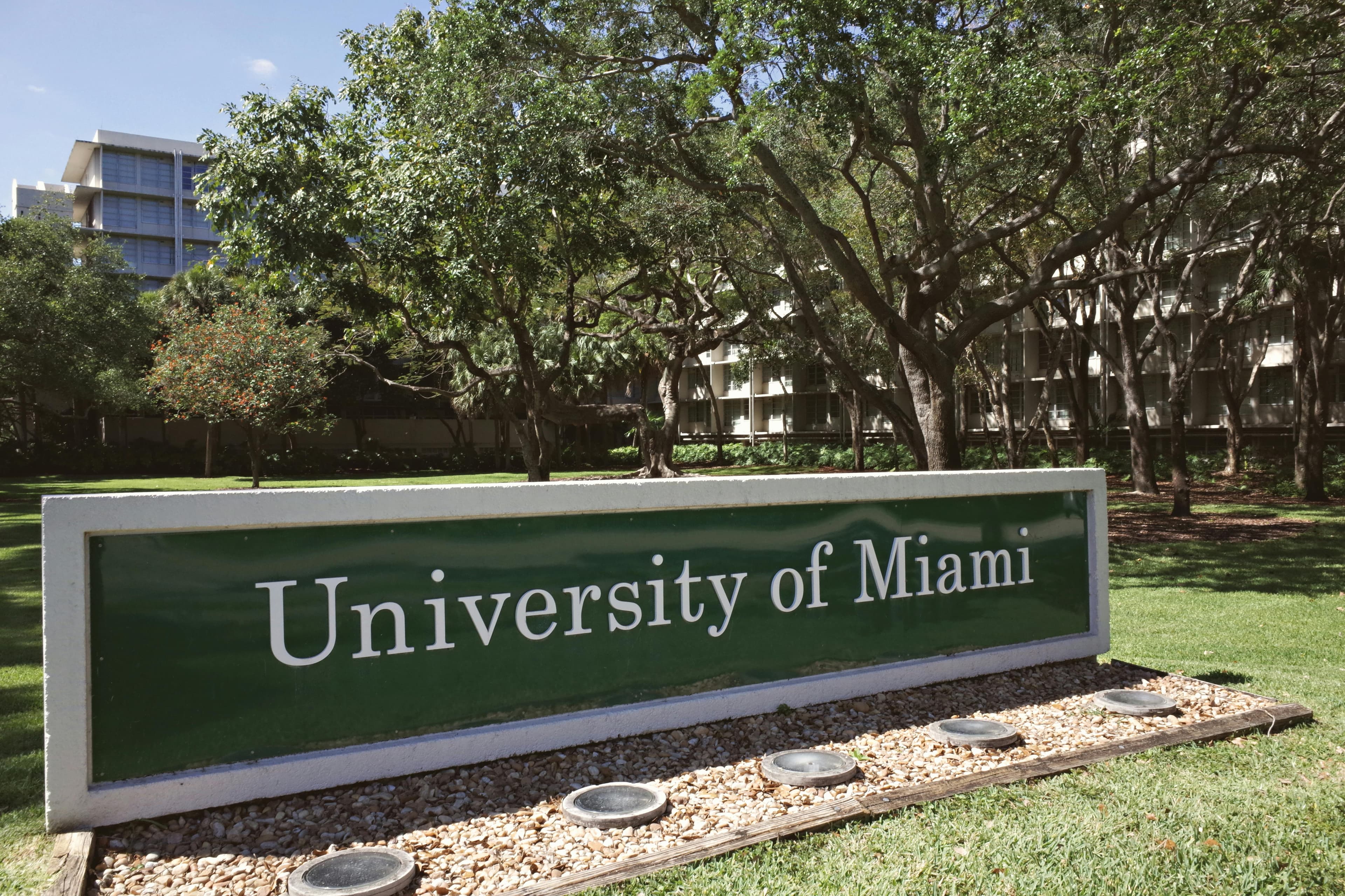 University campus environment in the USA